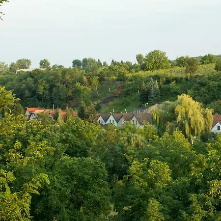 Lejlighed Demizson Eger